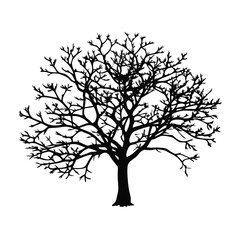 pawpaw-tree-silhouette
