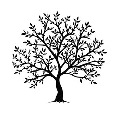 Obraz premium peach-tree-silhouette