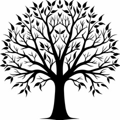 Obraz premium poplar-tree-silhouette