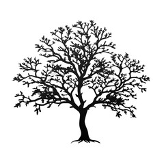 Fototapeta premium rubber-tree-silhouette