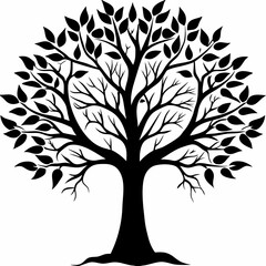 Obraz premium yellowwood-tree-silhouette