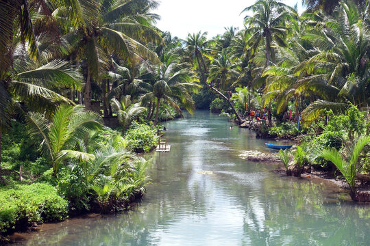 Tropical forest and stream in Siargao island, Philippnes