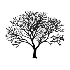 chokecherry-tree-silhouette
