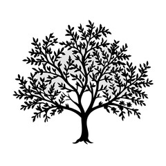 Obraz premium citron-tree-silhouette