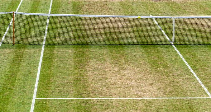 A tennis ball mid flight following a serve.  Grass court.  vt