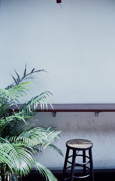 Outside counter with green plant, stool at a cafe. Analog photography