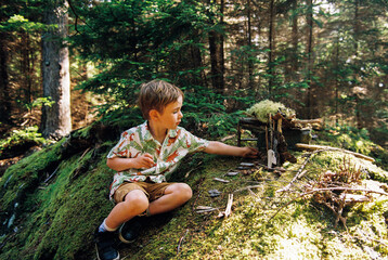 A Child Builds a Natural Fairy House in the Maine Woods