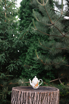 A single floral teapot on a tree stump in a forest