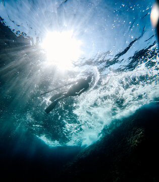 Diver swims on the surface of the sea