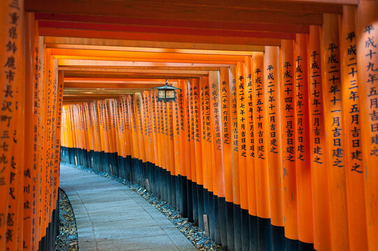 Fushimi Inari, Kyoto, Japan