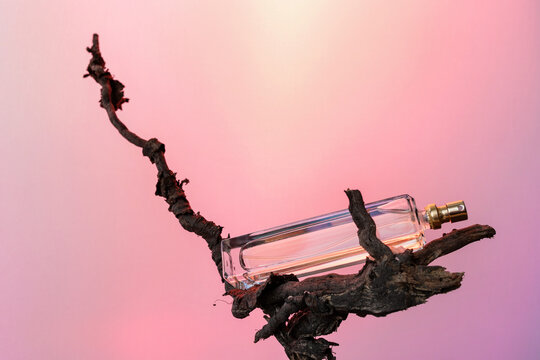 A bottle of perfume on a branch 
