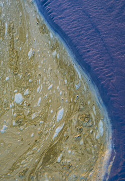 Brown, floating foam on surface of tide pool water