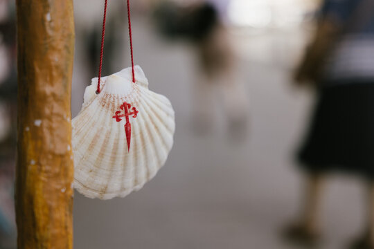 Camino de Santiago Scallop Shell with Red Cross Hanging from Stick