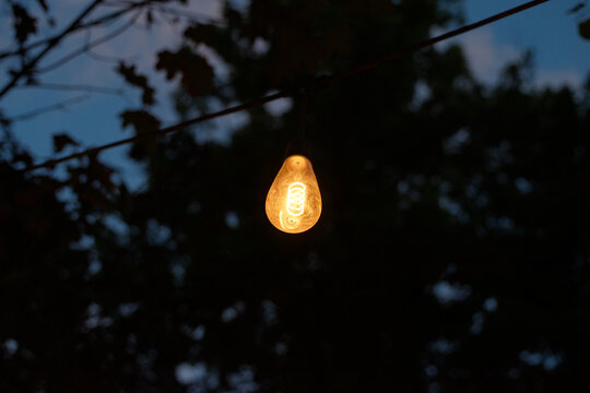 Outdoor pendant light