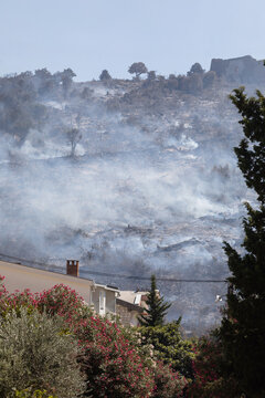 Forest fire on the edge of town