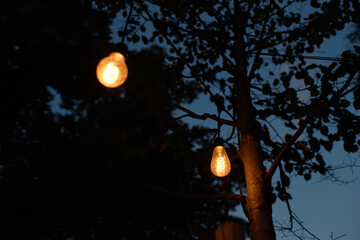 Outdoor lights in summer evening