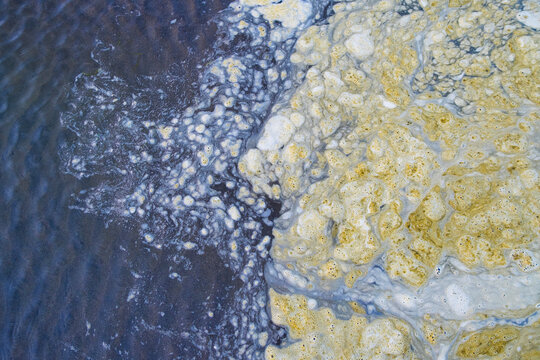 Brown, floating foam on surface of tide pool water
