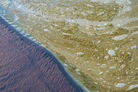 Brown, floating foam on surface of tide pool water