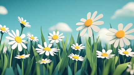 Sunlit field of chamomile flowers with a close up view Bright chamomile flowers in a sunlit field close up