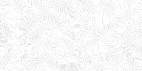 Vector abstract wave curve topo grid map with Lines Topographic contour lines map seamless pattern. Geographic mountain relief. Abstract lines background. Contour maps. Topo contour map design.