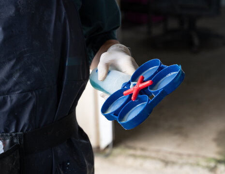 Rapid mastitis test in a diary cow