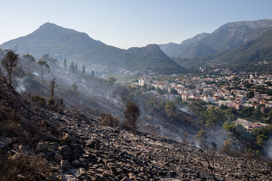 Aftermath of a forest fire on a hill above the town