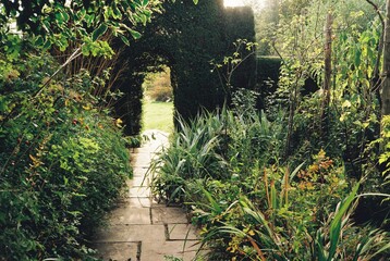 Garden pathway with archway leading to a bright clearing