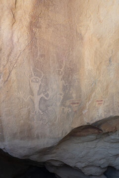 Swelter Shelter Petroglyphs