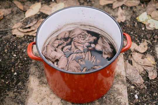 Red pot with soaking fabric on ground amongst dry leaves