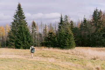 Lone hiker walking through open field near pine forest