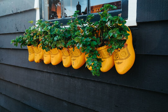 Wooden clogs as flower pot in Netherlands
