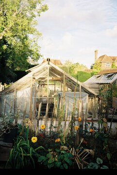 Rustic greenhouse surrounded by a thriving garden scenery.