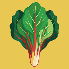 chard-vector