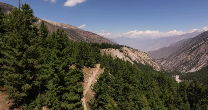 Beautiful Aerial View of Lush Green Pine Forest with Karakoram Mountain Range in Background