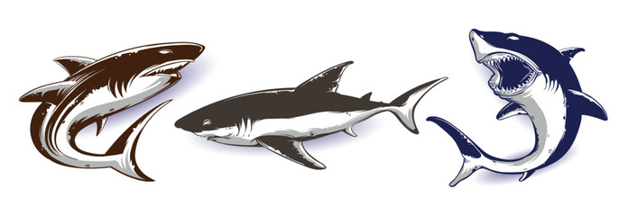 Sets of sharks isolated on white background, vector sharks for logo and illustration.