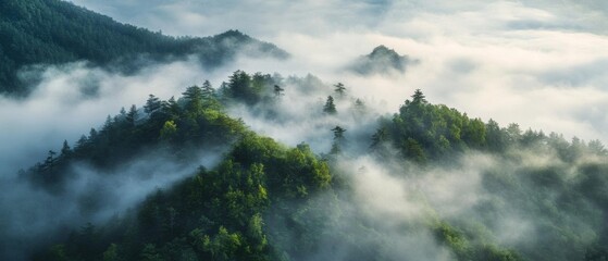 Obraz premium Aerial view of misty mountains surrounded by lush greenery, creating a serene and tranquil atmosphere in nature.