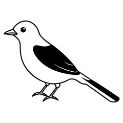 sketch of a bird