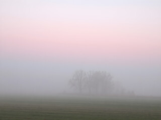 A soft, misty morning sky with pastel tones of pink and blue, with the fog rising from the fields and trees barely visible in the distance
