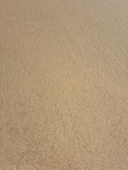 It is a sandy beach.