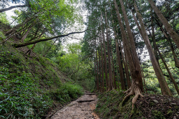 Obraz premium Nakasendo hiking trail