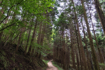 Nakasendo hiking trail