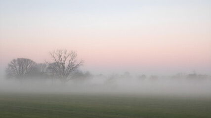 Fototapeta premium A soft, misty morning sky with pastel tones of pink and blue, with the fog rising from the fields and trees barely visible in the distance 