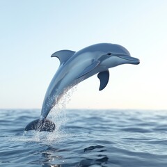 Fototapeta premium Dolphin Jumping Out of Water in Ocean