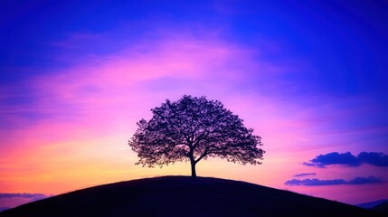A single tree stands tall on a hilltop against a vibrant sunset sky.