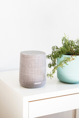 Smart speaker and houseplant in white home setting. Contemporary living concepts.