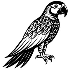 illustration of a parrot