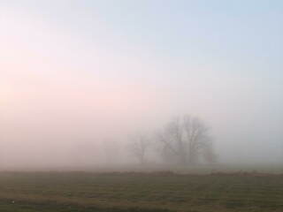 Naklejka premium A soft, misty morning sky with pastel tones of pink and blue, with the fog rising from the fields and trees barely visible in the distance 