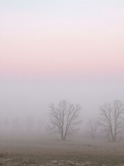 Obraz premium A soft, misty morning sky with pastel tones of pink and blue, with the fog rising from the fields and trees barely visible in the distance 
