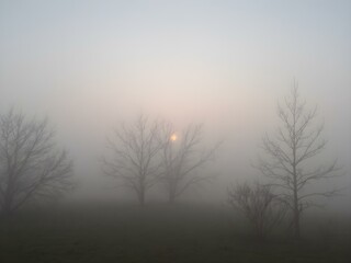 Naklejka premium A quiet morning with a misty sky, the sun rising slowly and casting a gentle glow through the fog, creating an ethereal atmosphere 