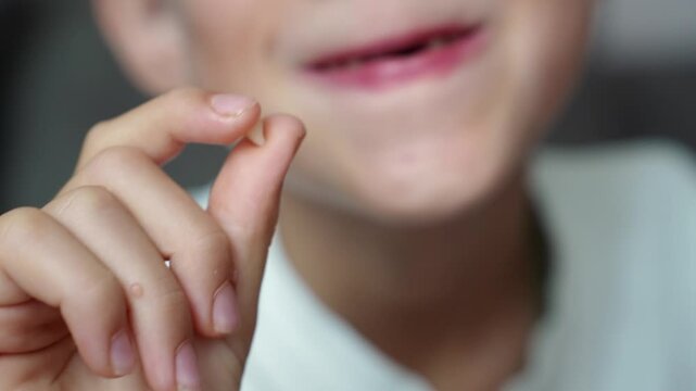 Child holds fallen baby tooth in hands, smiles with toothless mouth, close-up. Baby teeth are replaced by permanent ones. Children's dentistry, dental care.